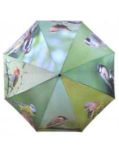 Parapluie thème "Oiseaux"