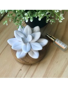 Diffuseur Jade du Tibet | Diffuseur de parfum en bois et céramique